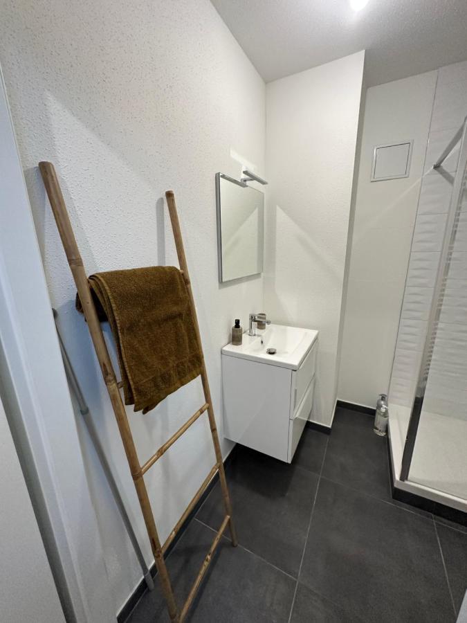Appartement Atypique Proche Gare/ Dans L'Hyper-Centre Spacieux Pour 6P Au Coeur De Mülhausen Exterior foto