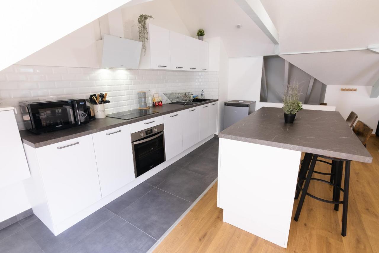 Appartement Atypique Proche Gare/ Dans L'Hyper-Centre Spacieux Pour 6P Au Coeur De Mülhausen Exterior foto