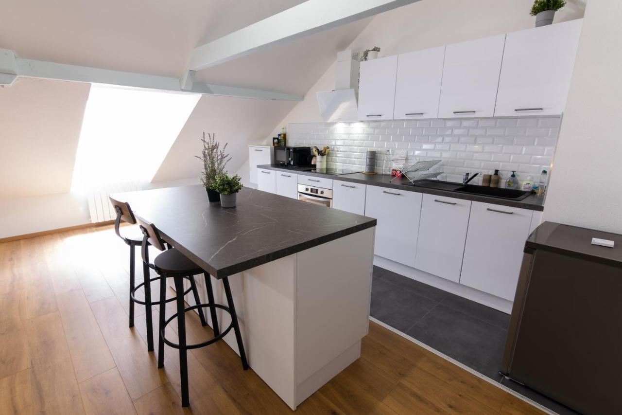Appartement Atypique Proche Gare/ Dans L'Hyper-Centre Spacieux Pour 6P Au Coeur De Mülhausen Exterior foto